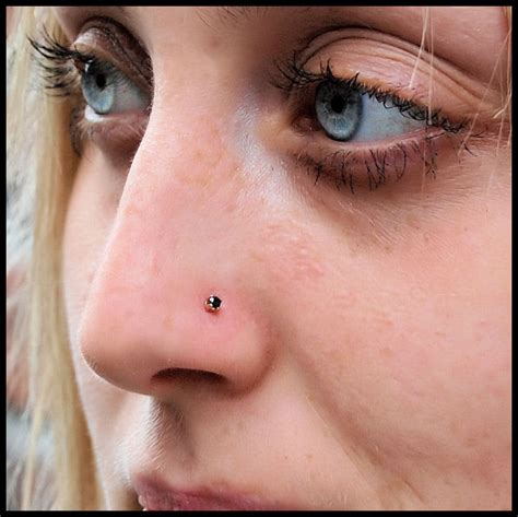 2mm stud nose rings.